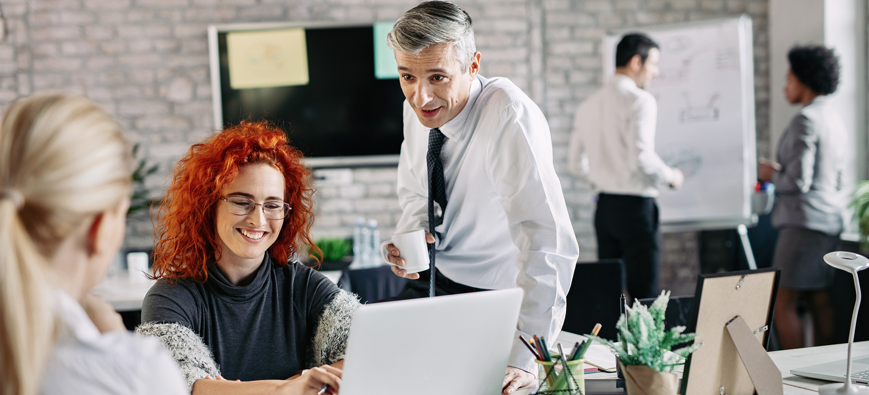 карьера в Domconnect